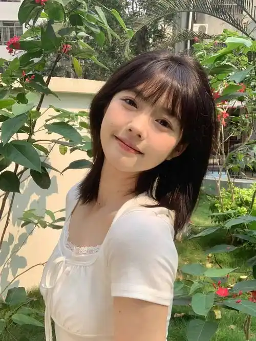 蜘蛛池对SEO黑帽技术的风险分析